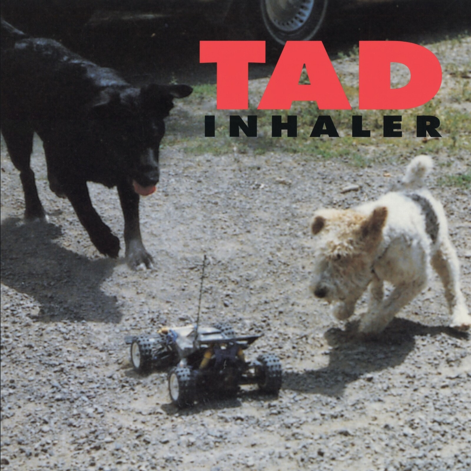 Tad, Inhaler, CD