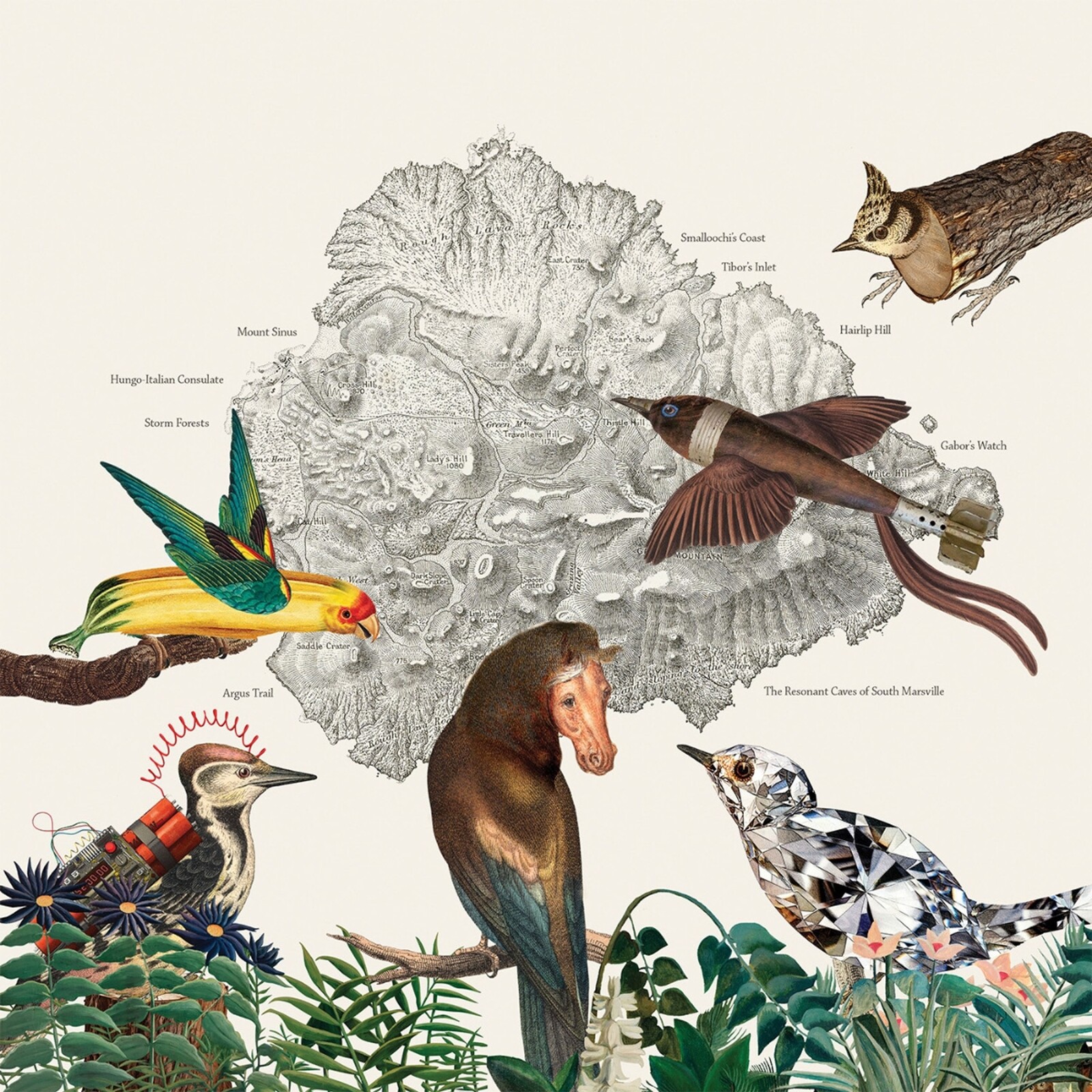 THE BIRDS OF MARSVILLE