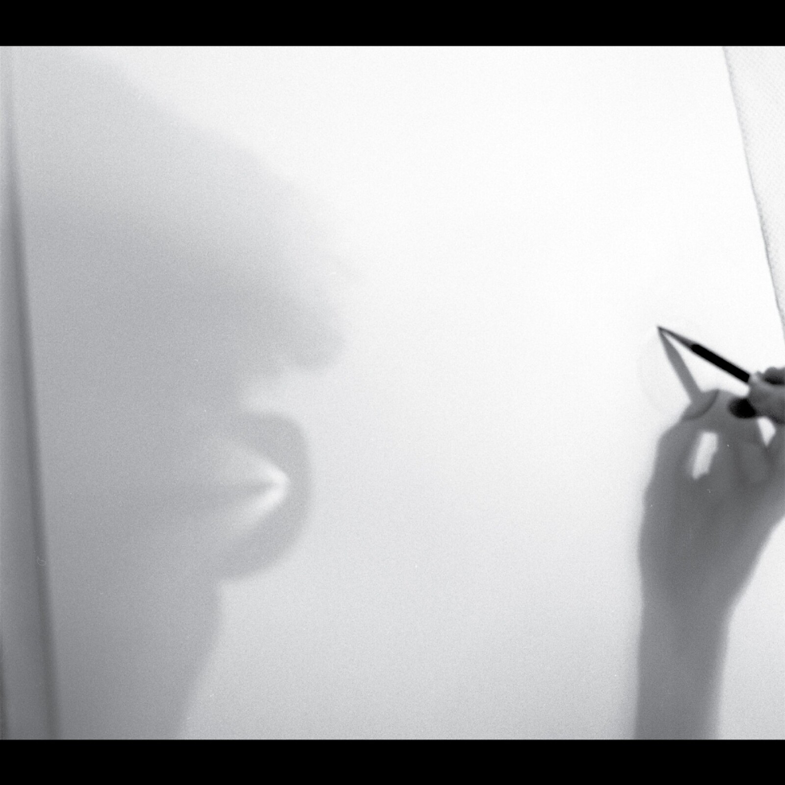 Zeena Parkins, MODESTY OF THE MAGIC THING, CD