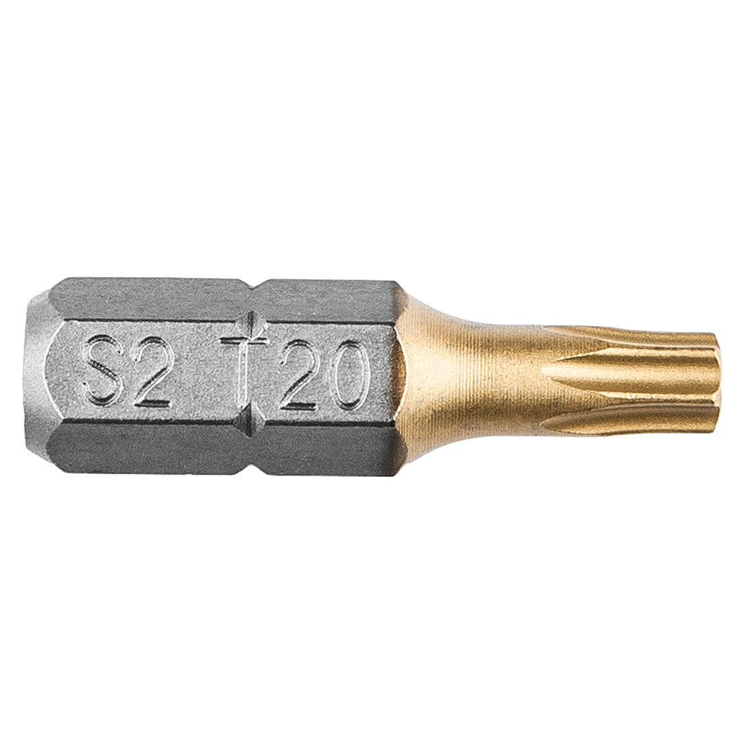 GRAPHITE Bity Torx TX20 x 25 mm, 2 ks 57H973