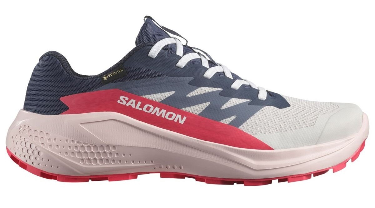 Salomon Alphaglide GTX W Veľkosť: 38 EUR