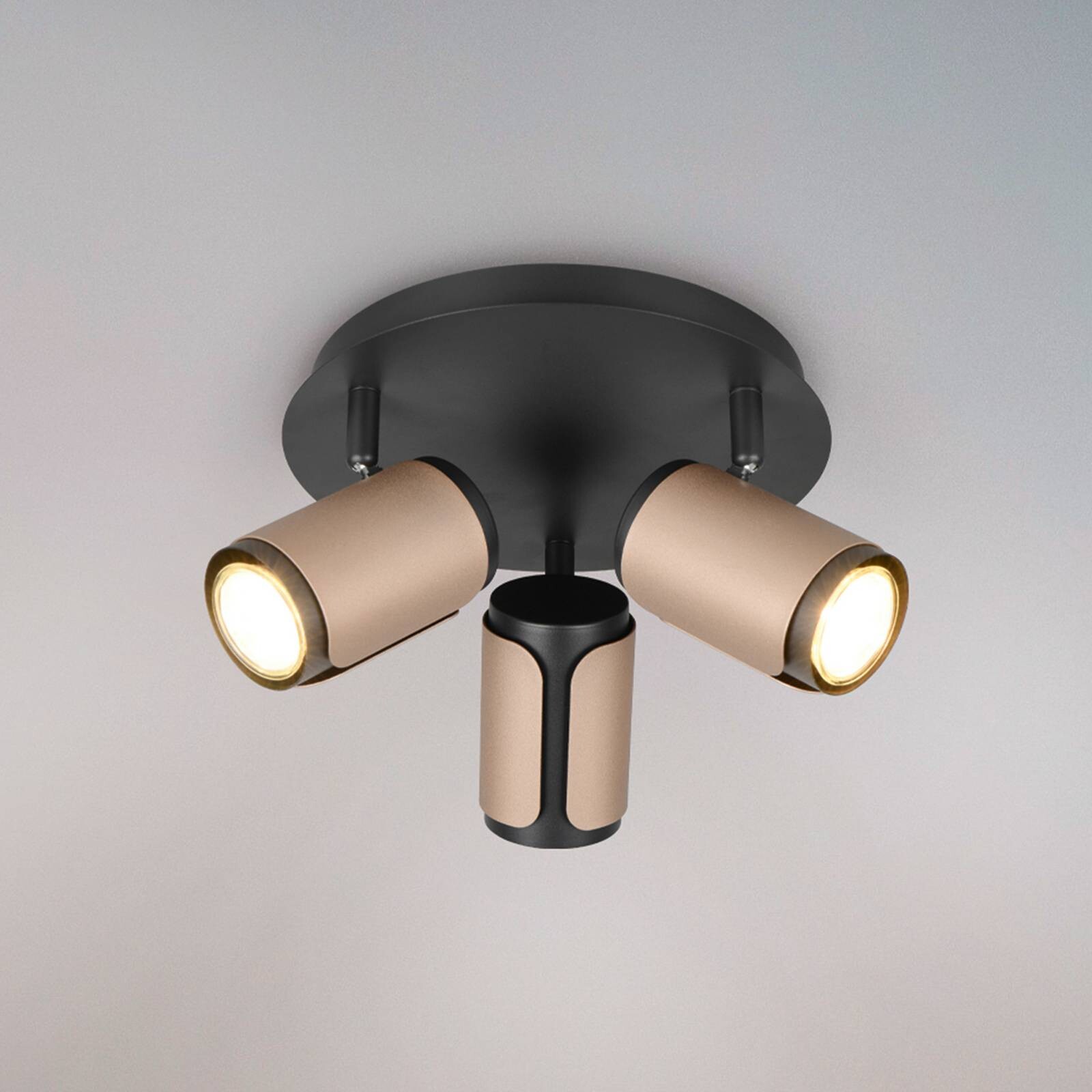 Stropné bodové svetlá Gillan, coffee, 3-pl., guľaté, kov, GU10