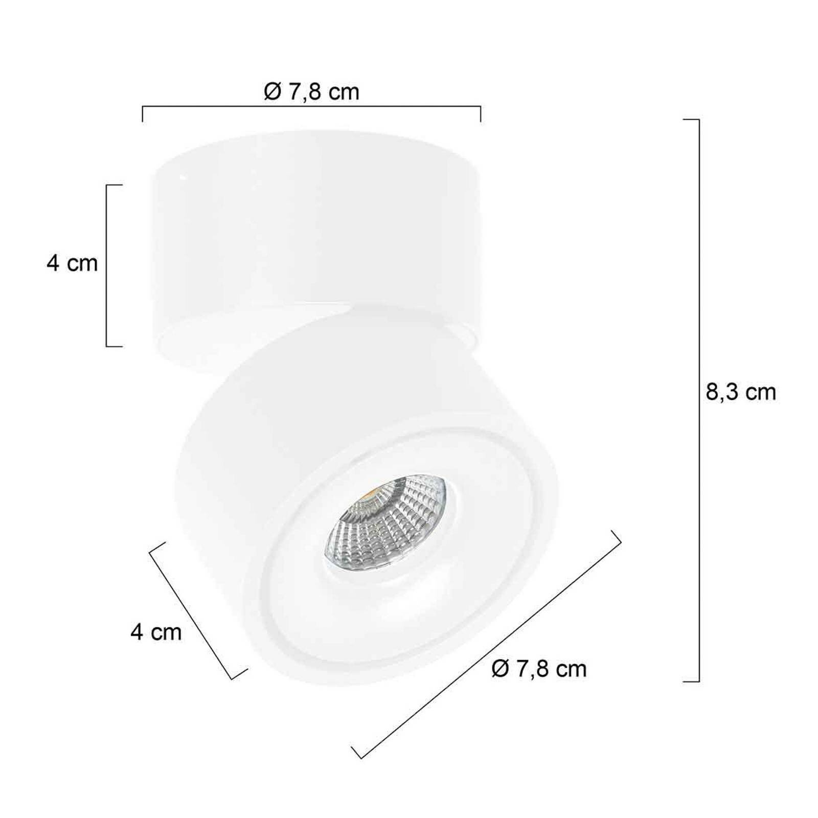LED stropné bodové svetlá Fez, biele, 1-pl., kovové, otočné