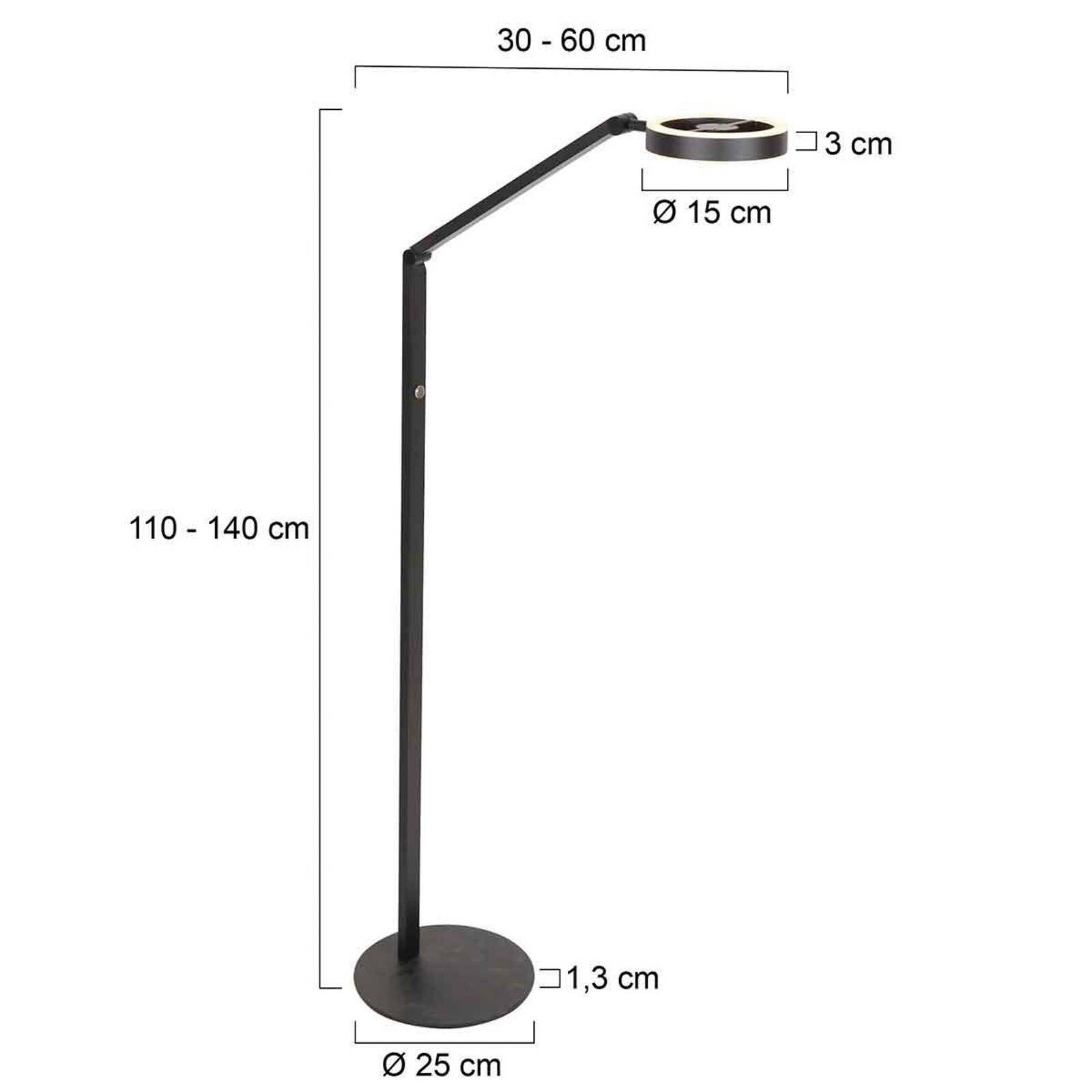 LED stojacia lampa Ringlux, čierna, kovová, nastaviteľná