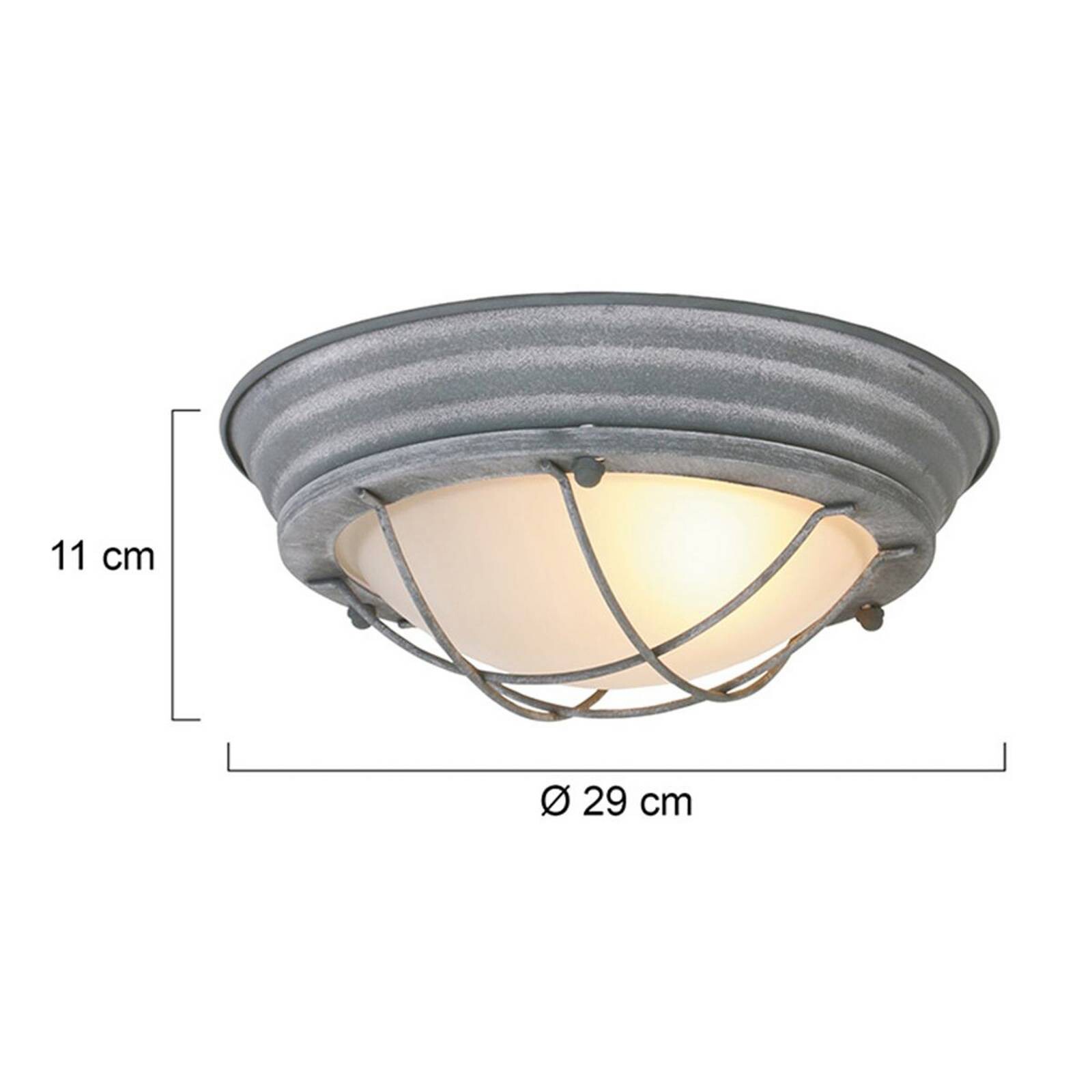 Stropné svietidlo Lisanne, sivá, Ø 29 cm, kov, sklo, E27