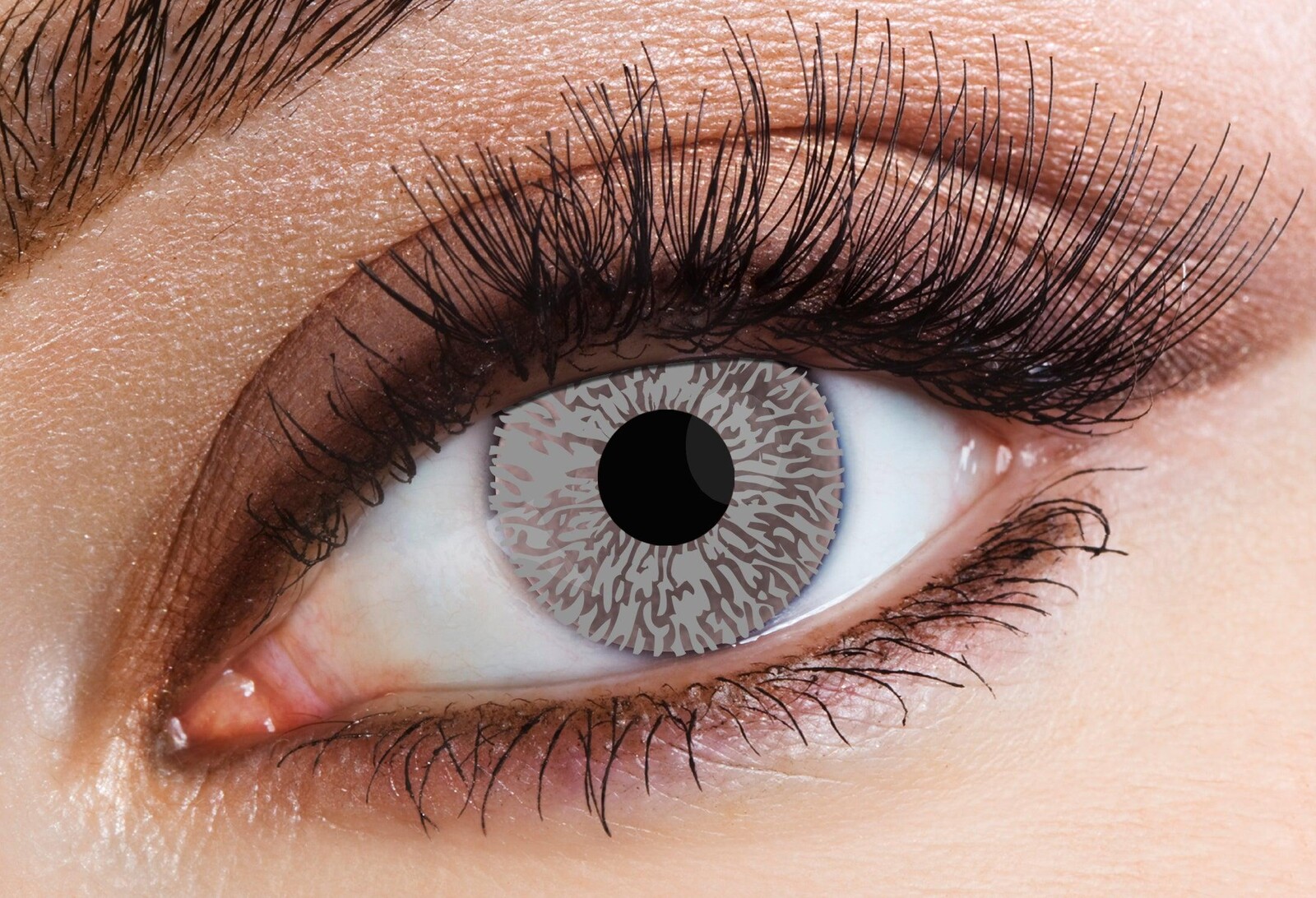 Eyecasions Šošovky denné One tone grey