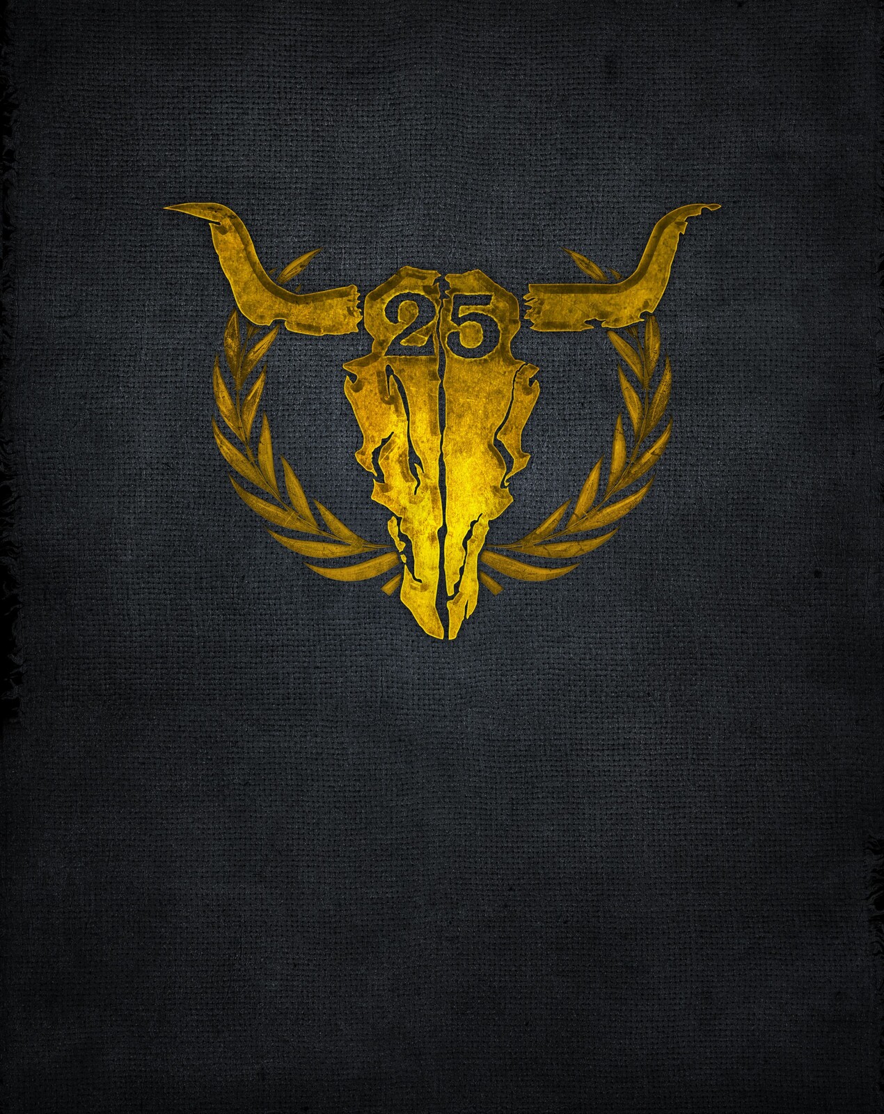 Various Artists, 25 Years of Wacken, DVD