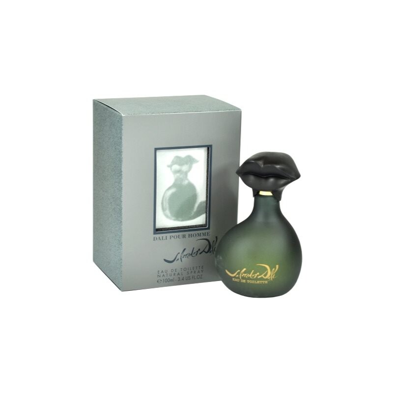 Salvador Dali Pour Homme toaletná voda pre mužov 100 ml