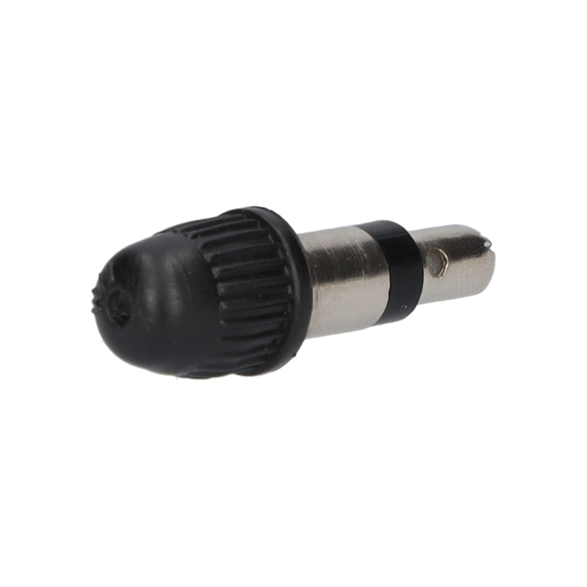Bicycle Express Valve with a black cap