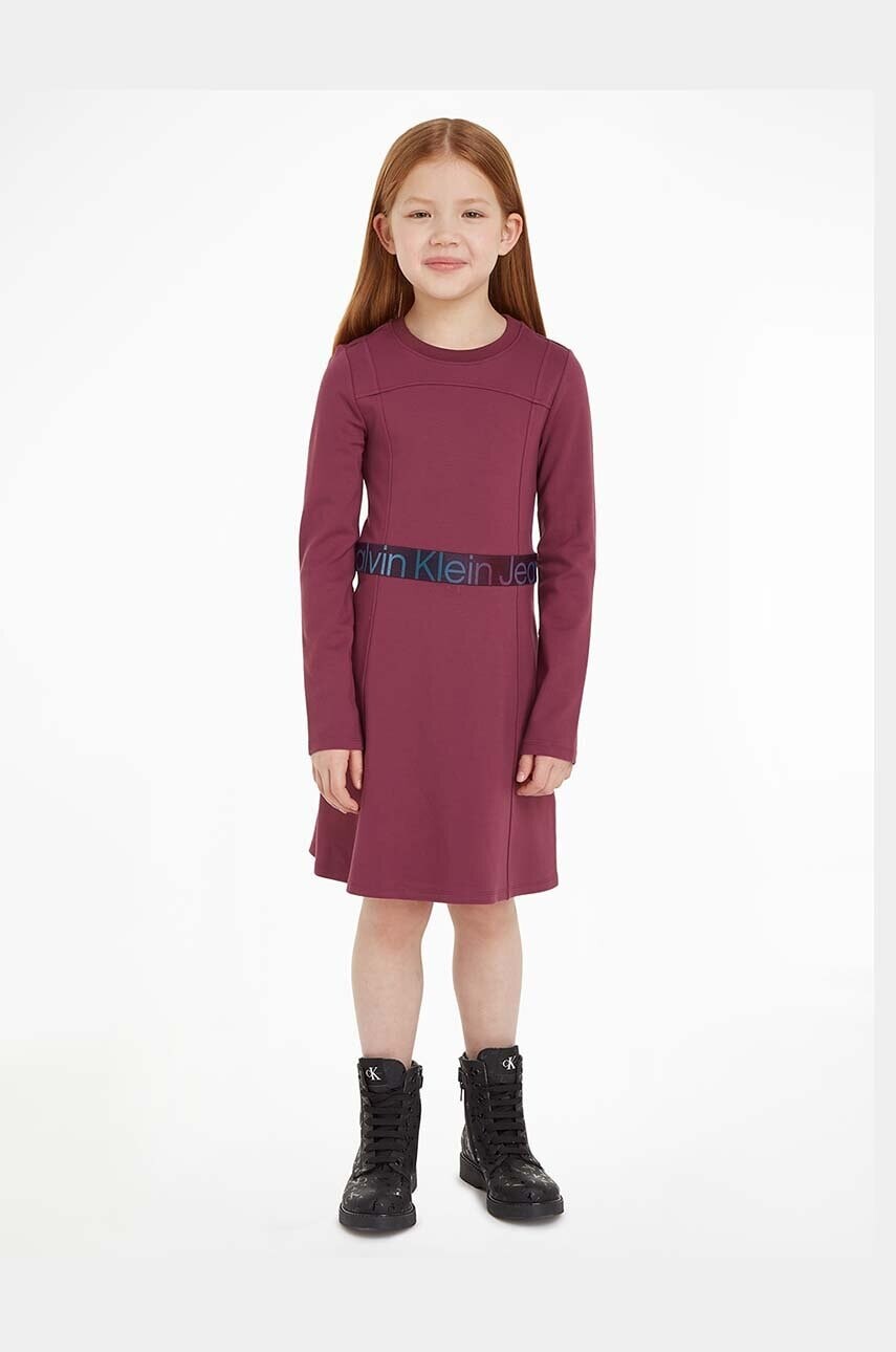 Dievčenské šaty Calvin Klein Jeans fialová farba, mini, áčkový strih