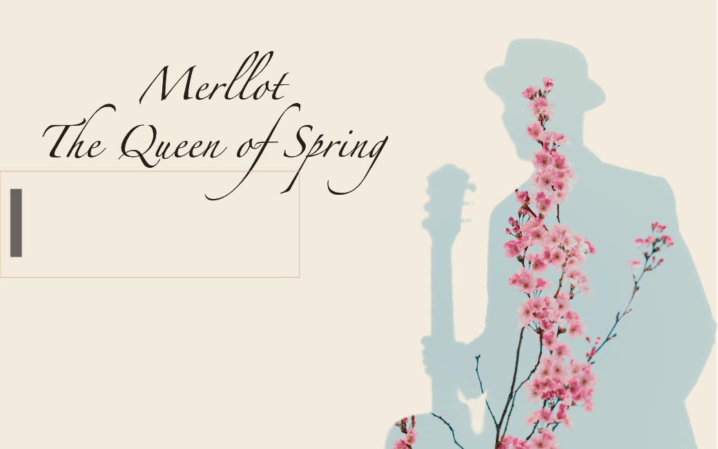 Merllot The Queen of Spring