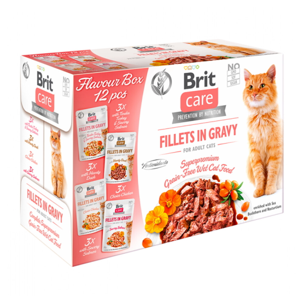 BRIT Care Fillets in Gravy Flavour kapsičky pre mačky 12 x 85 g, poškodený obal