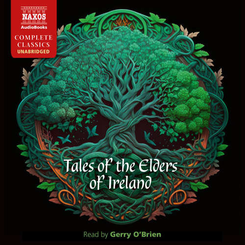 Tales of the Elders of Ireland - Rôzni autori (mp3 audiokniha)
