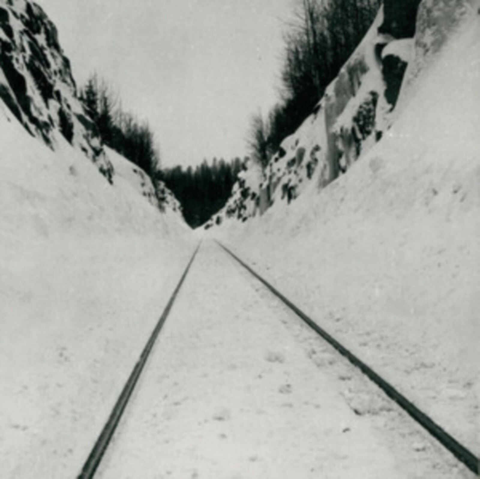 Microtub, THIN PEAKS, CD