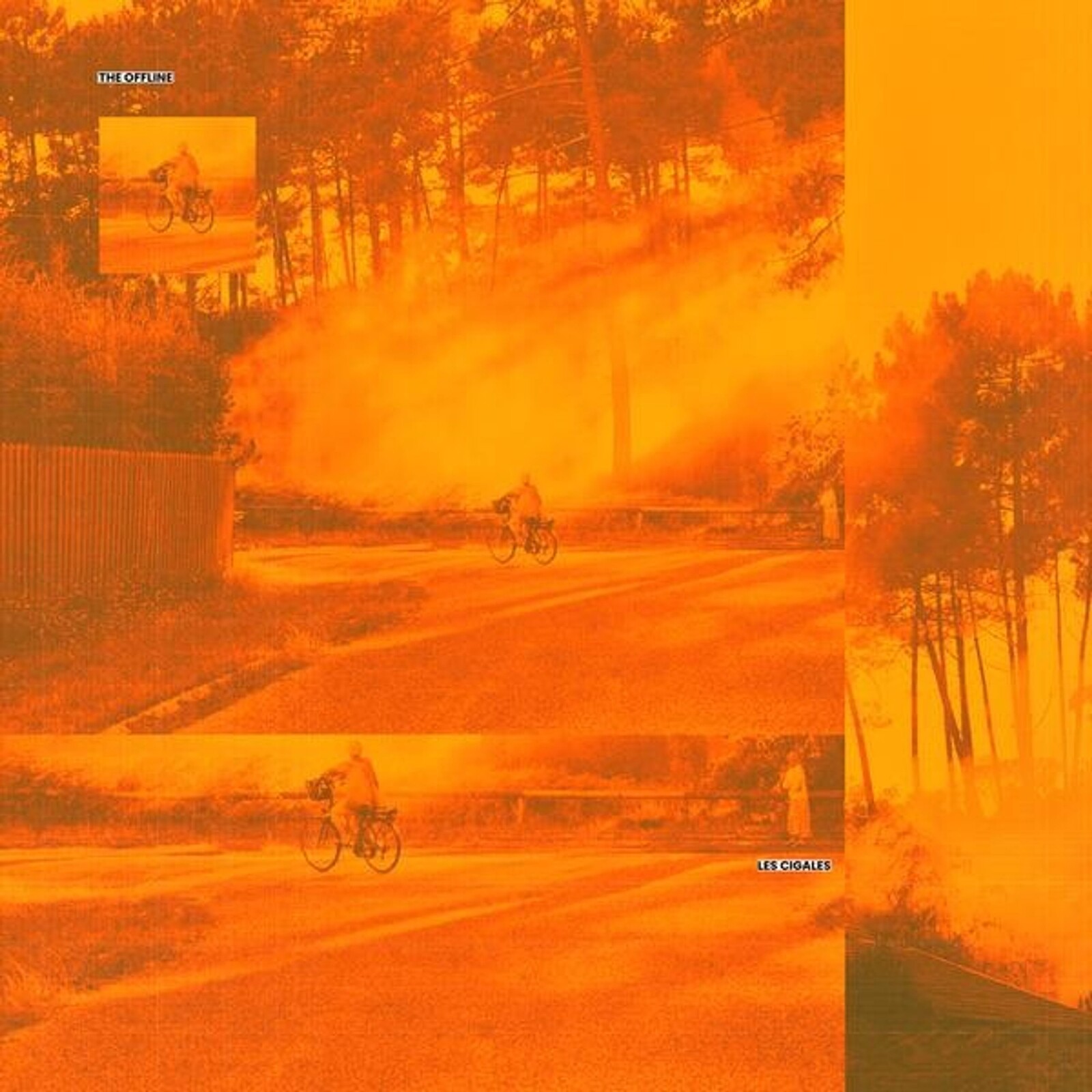 LES CIGALES / EN CLAIR-OBSCUR