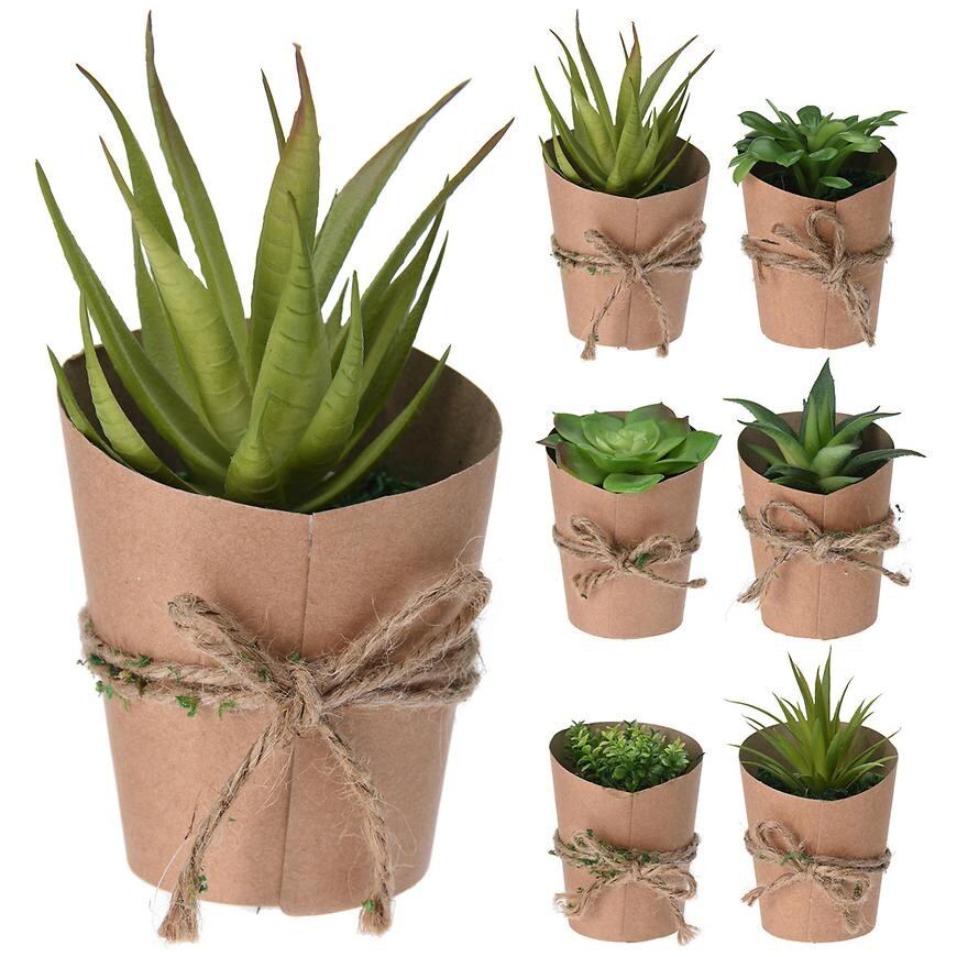 Kvet v papierovom kvetináči 7X15CM