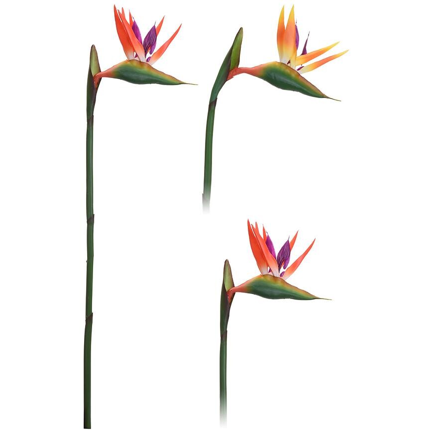 Rajský kvet 80CM 2 SZT