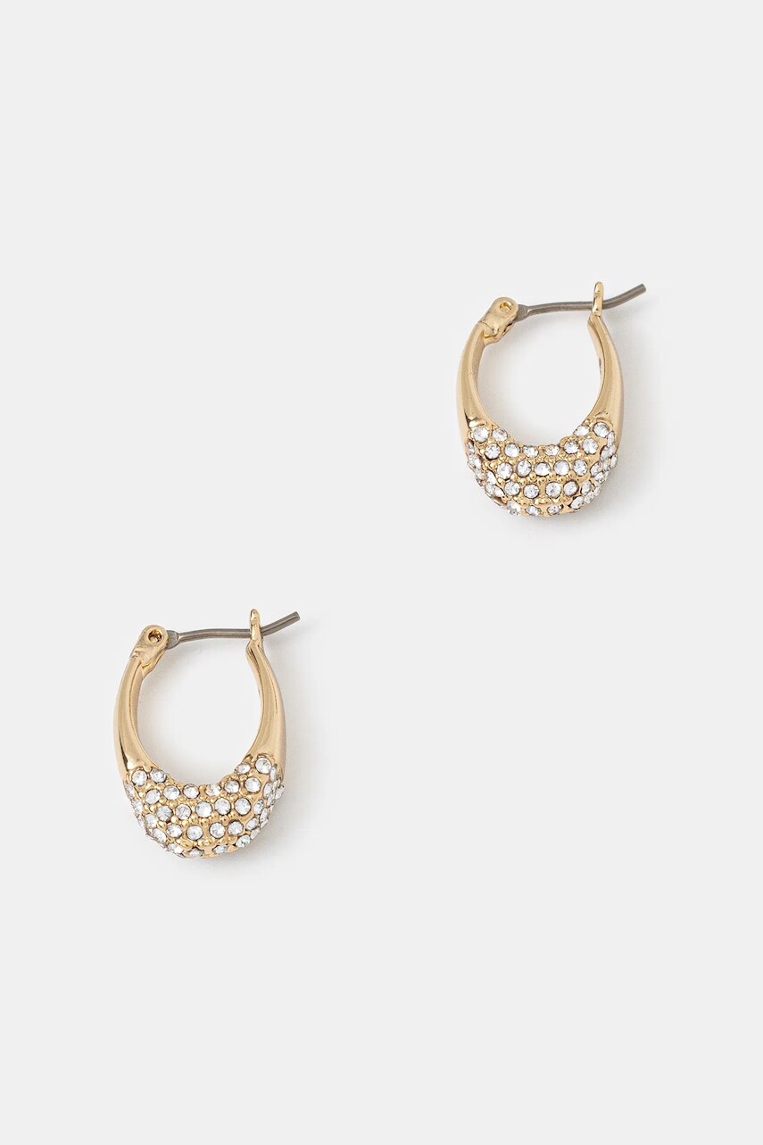 Náušnice Dkny 04G00838