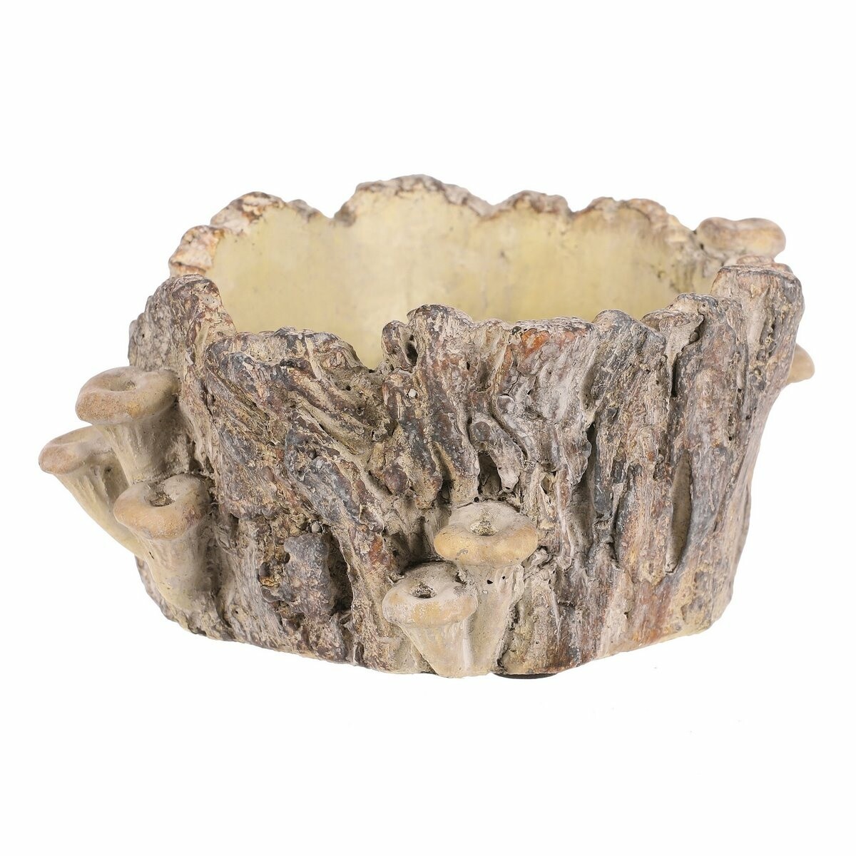 Betónový obal - pařez s hubami, 18 x 14 x 9 cm