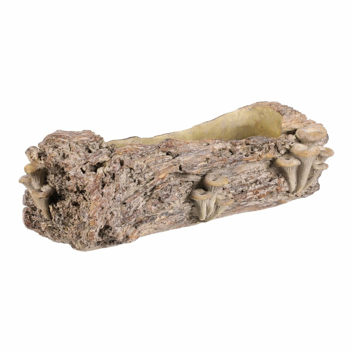 Betonový obal - truhlík, drevo s hubami, 49 x 21 x15 cm