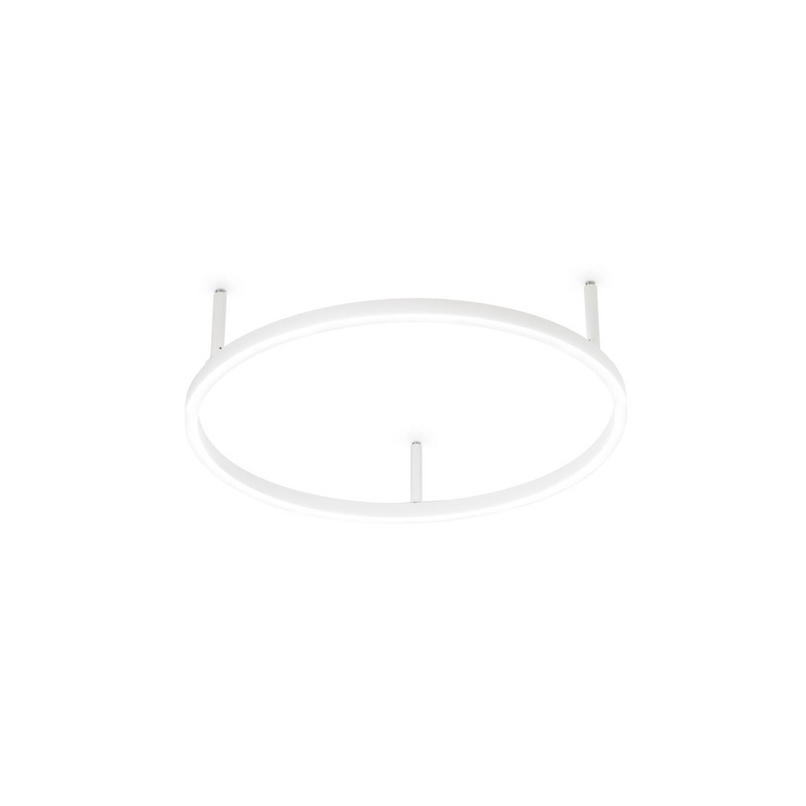 Ideal Lux stropné LED svetlo Oracle Slim Ø 50 cm biela 3000 K