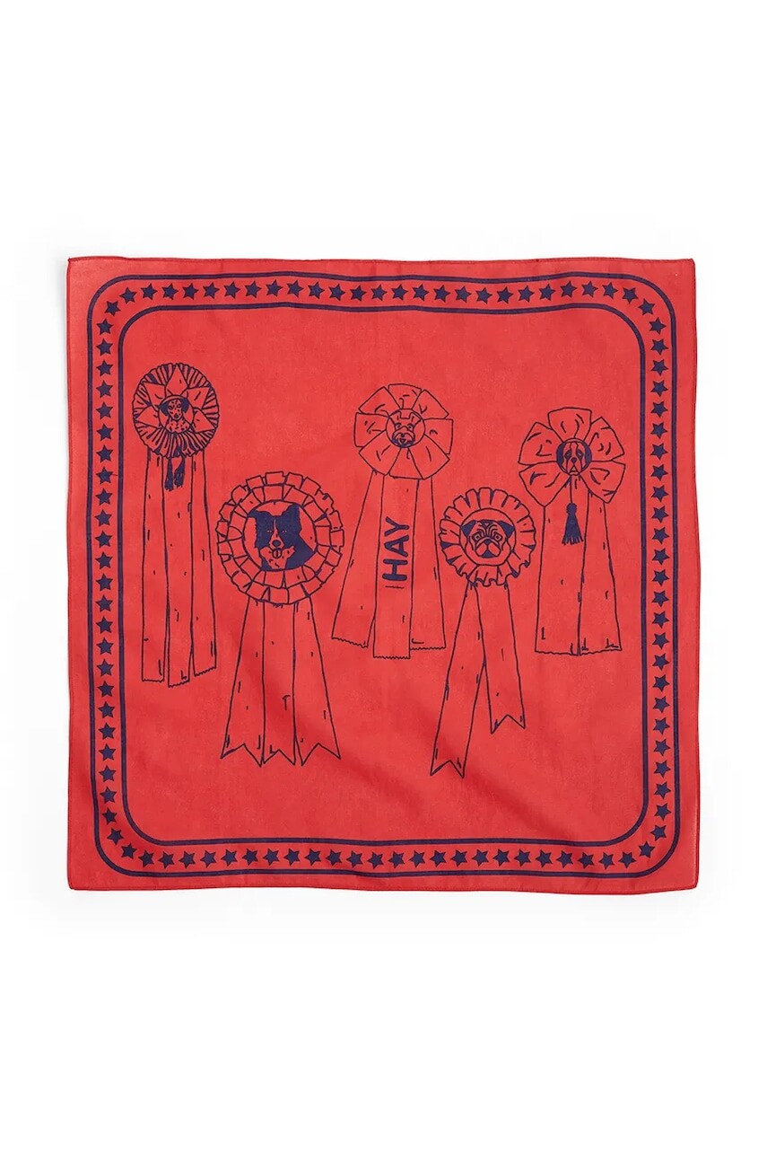 Šatka pre psa HAY 55 x 55 cm červená farba
