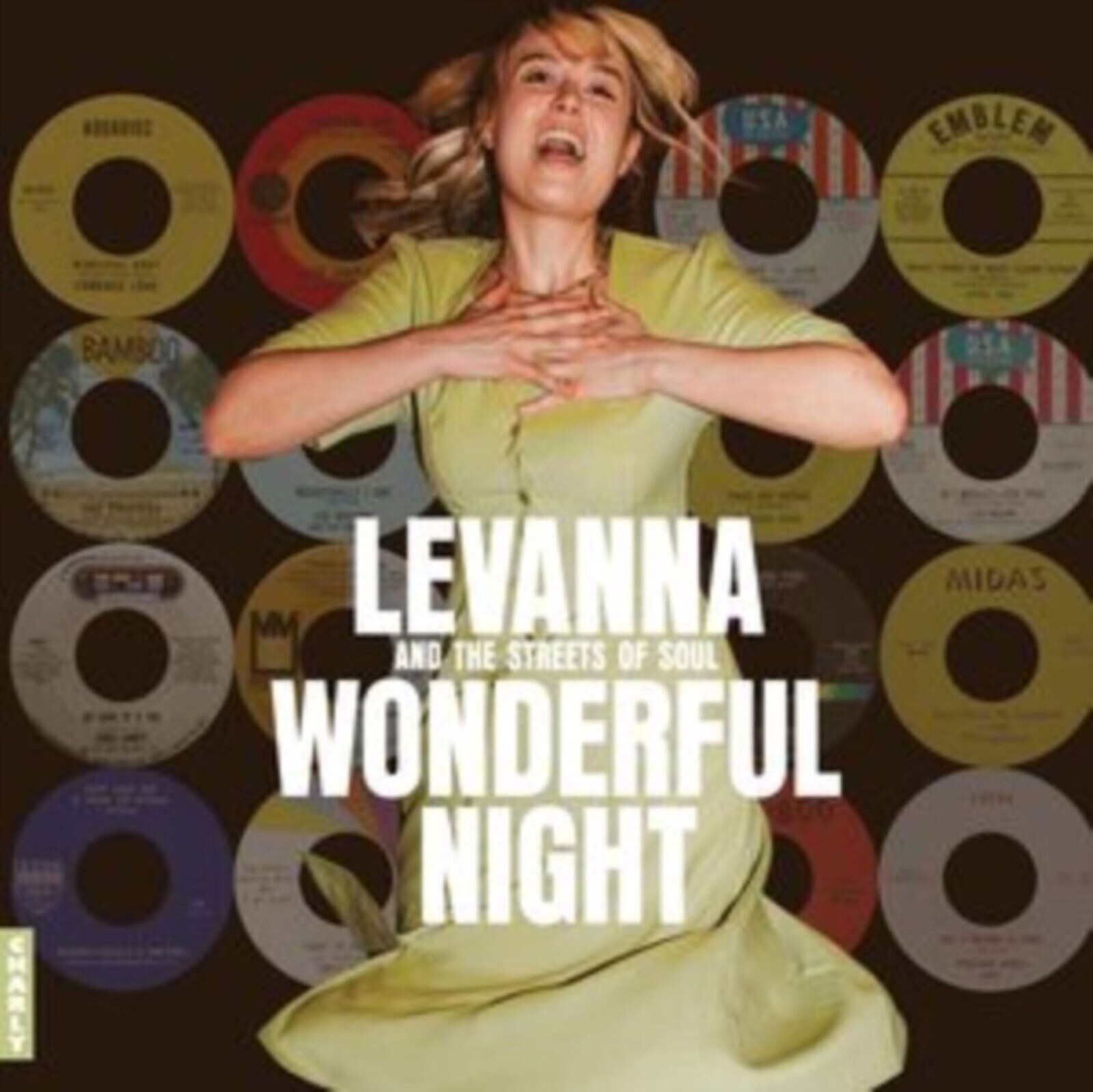WONDERFUL NIGHT CURATED BY LEVANNA
