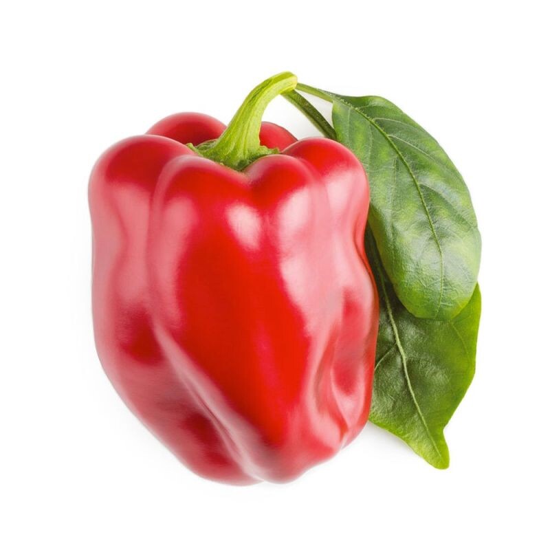 Smart Garden Červená paprika, sladká PCW-067