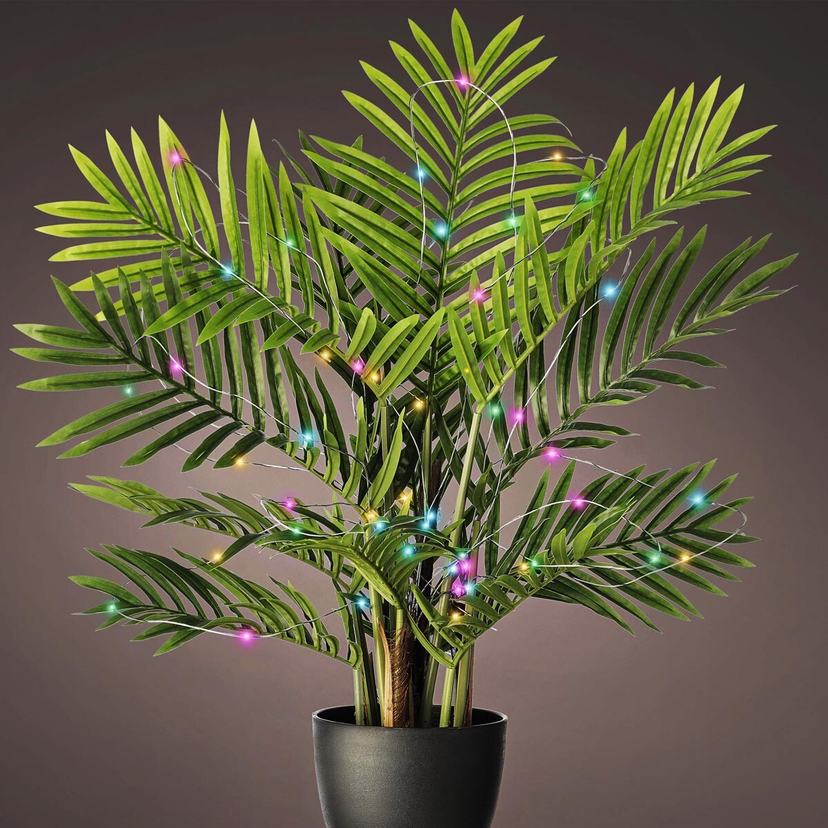 Weltbild LED světelný řetěz na rostliny Lumineo, barevný