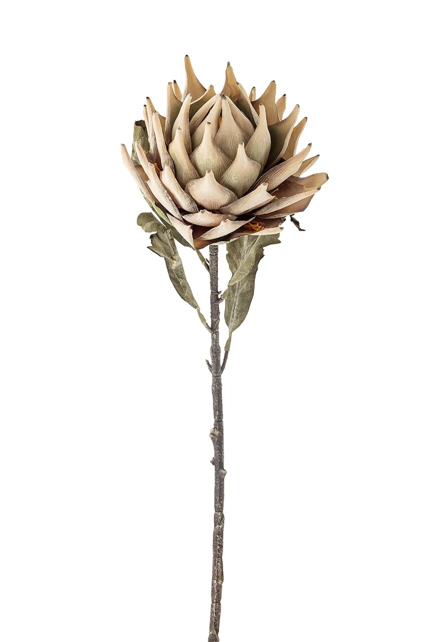 Umelé kvety Bloomingville Protea Stem 76 cm viac farieb