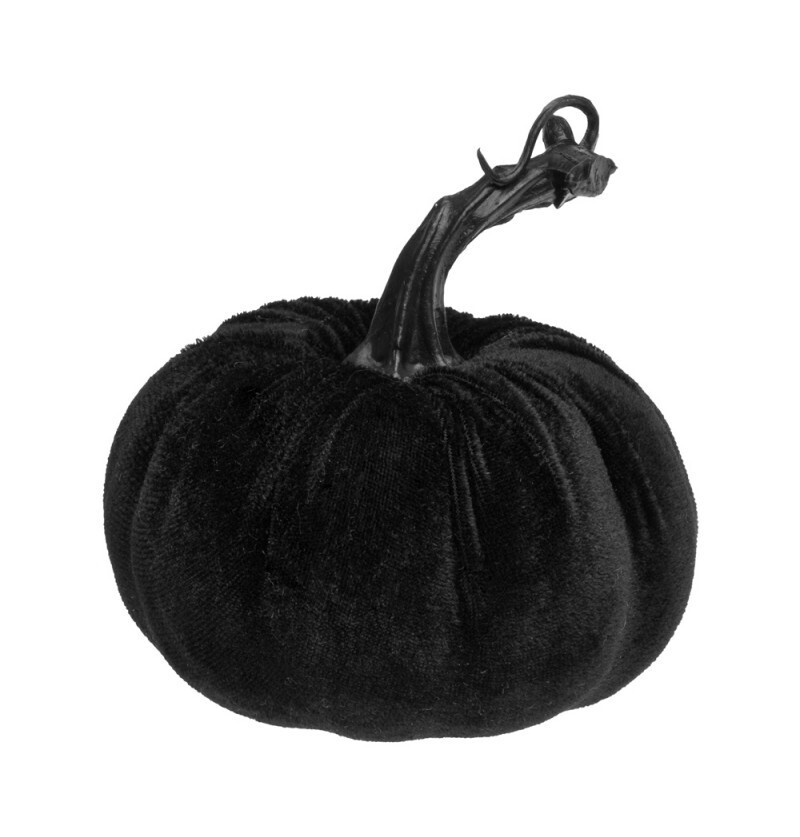 Chaks Čierna zamatová tekvica 10 x 7-11 cm