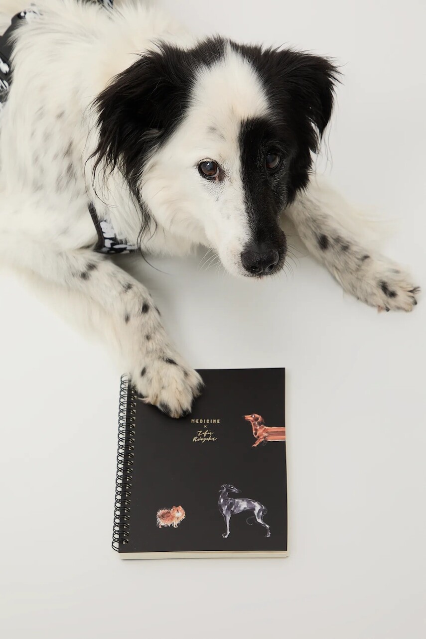 Zápisník Medicine čierna farba