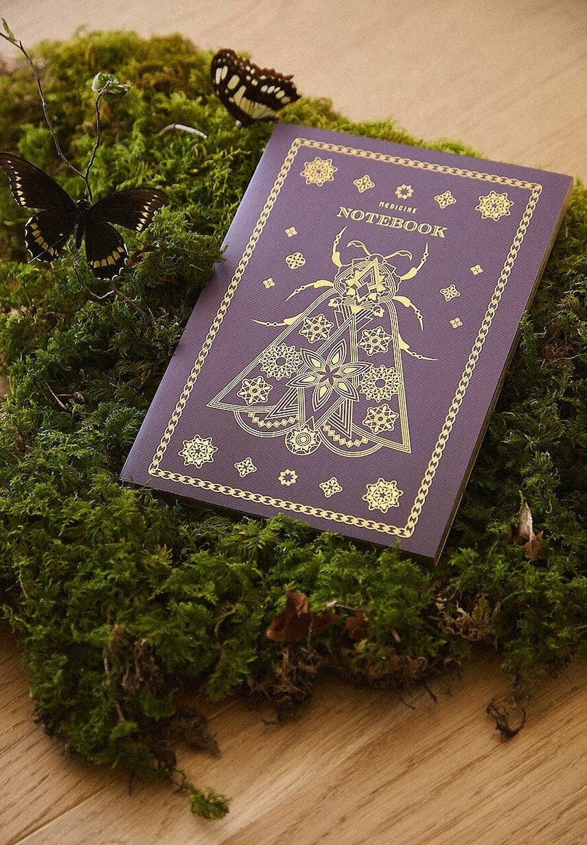 Zápisník Medicine bordová farba