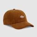 Šiltovky Dickies Hardwick corduroy cap