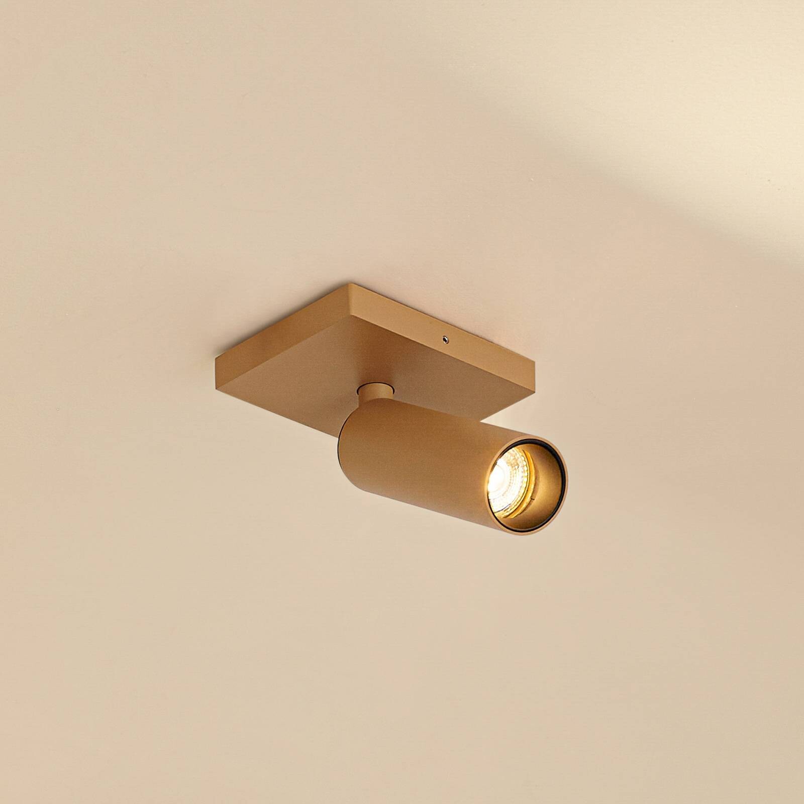 Arcchio Stropné bodové svetlá Brinja Slim, hnedé, 1-pl., GU10 MR11