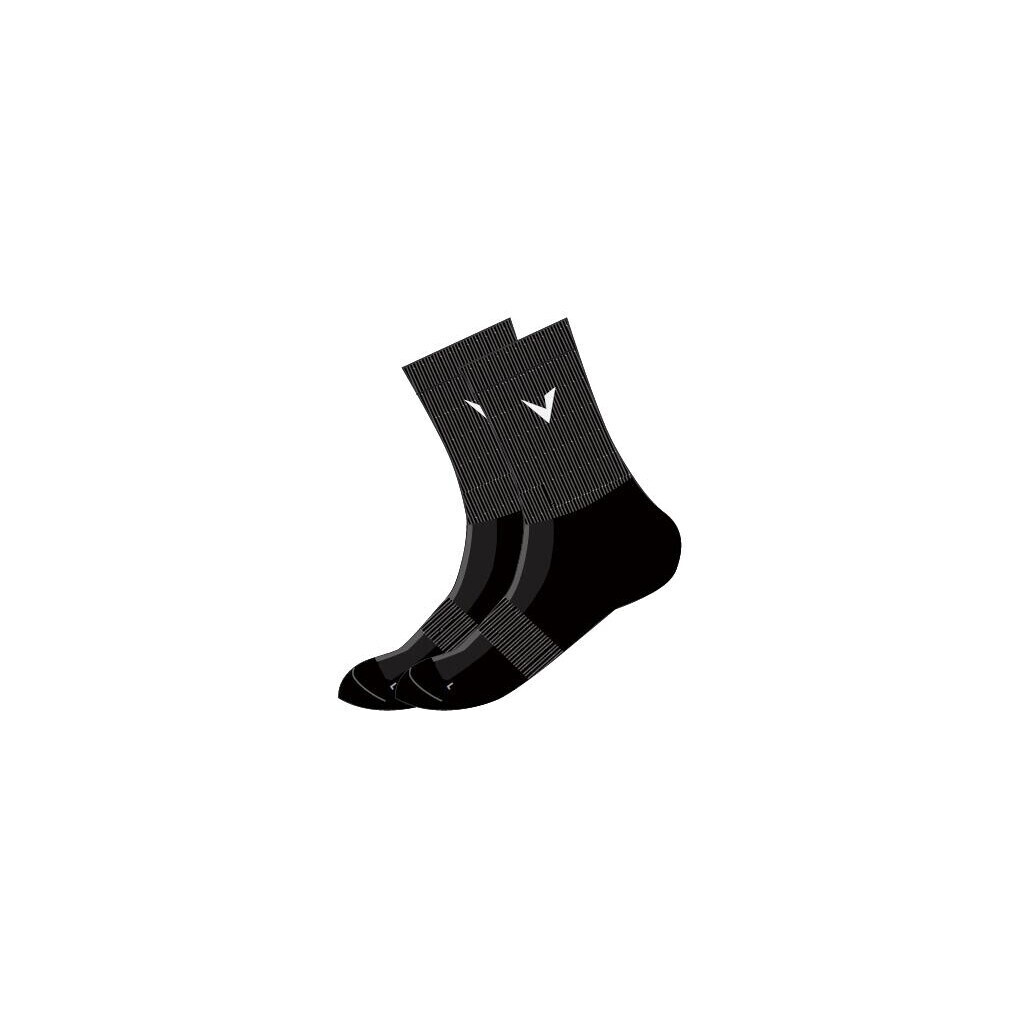 Virtus Larsen 2-Pack Socks