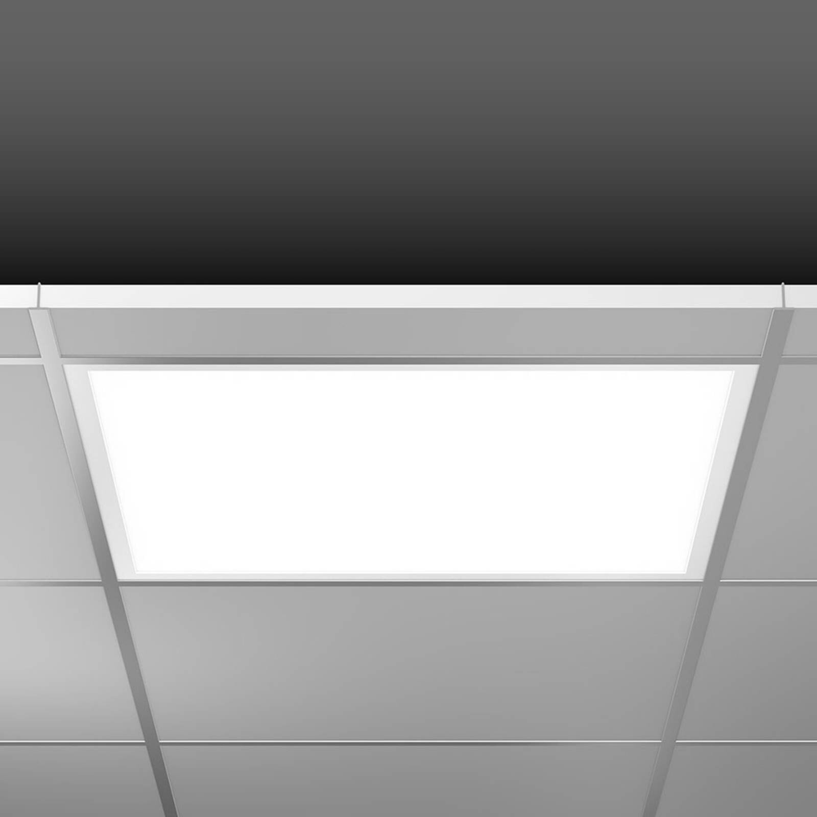 RZB Sidelite Eco LED panel 4-stupňový 59,5cm 38W 840