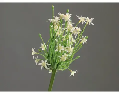 Umelá kvetina Cesnak 70 cm, krémový%