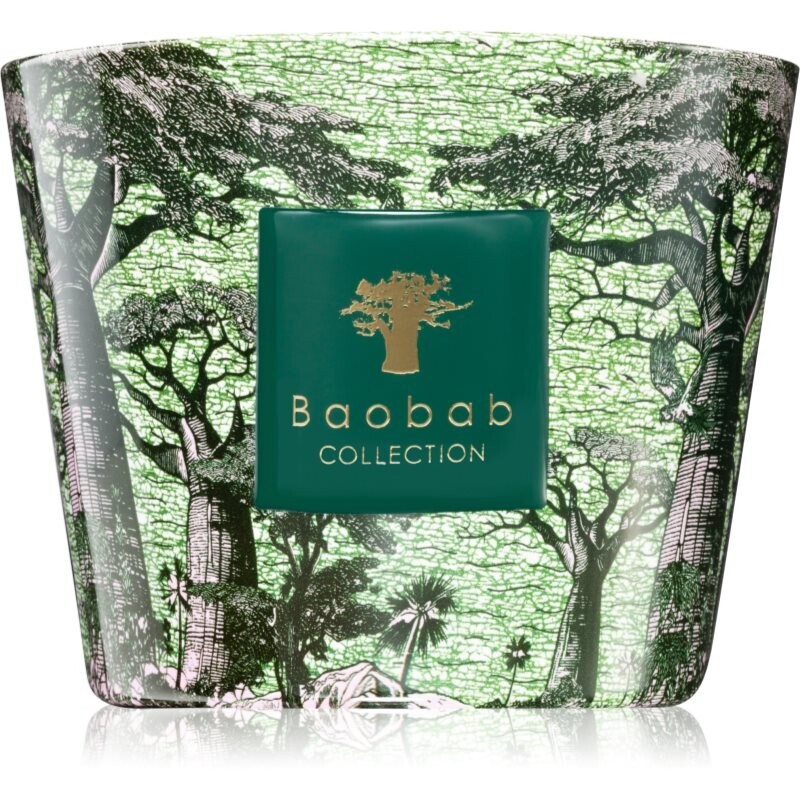 Baobab Collection Sacred Trees Touba vonná sviečka 500 g
