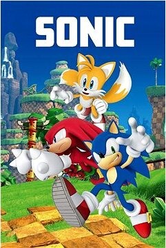 Jerry Fabrics Detská flísová deka Sonic 023 100 × 150 cm