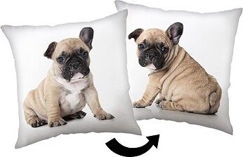 Jerry Fabrics Vankúšik Bulldog 40 × 40 cm