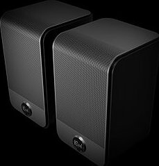 KLIPSCH FLEXUS SURR 100