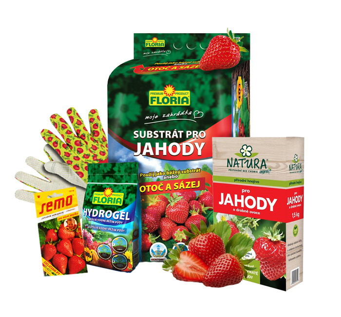 AGRO, SEMO, CERVA Balíček Jahodár