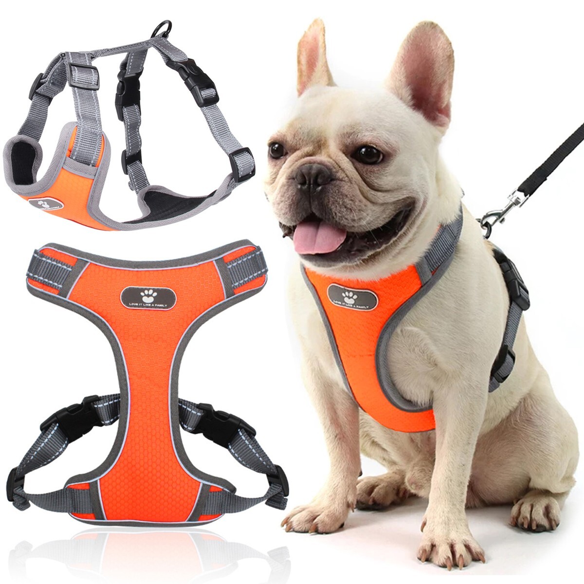 Postroj pro psy ASTRO S oranžový