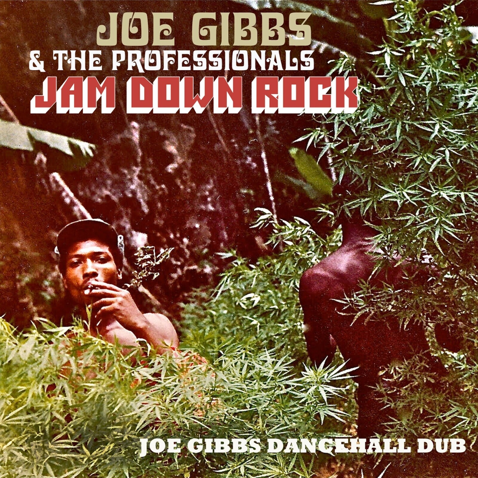 Joe Gibbs & The Professionals, JAM DOWN ROCK - JOE GIBBS DANCEHALL DUB, CD