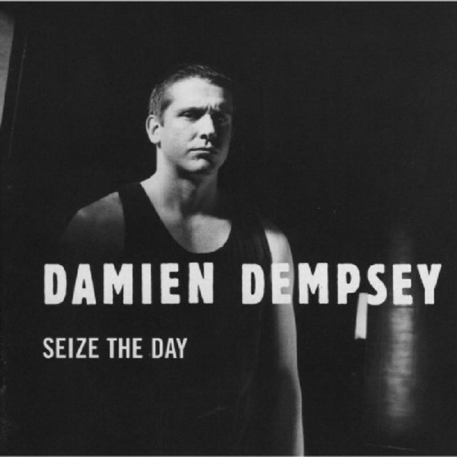 Damien Dempsey, SEIZE THE DAY, CD