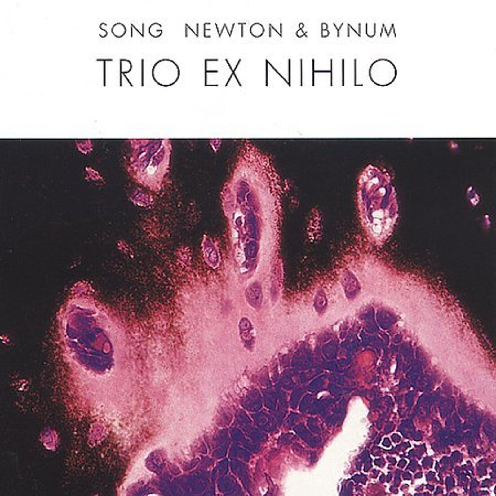 Jeff Song, TRIO EX NIHILO, CD