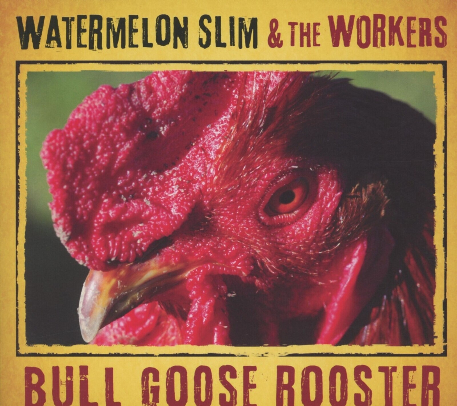 Watermelon Slim, BULL GOOSE ROOSTER, CD