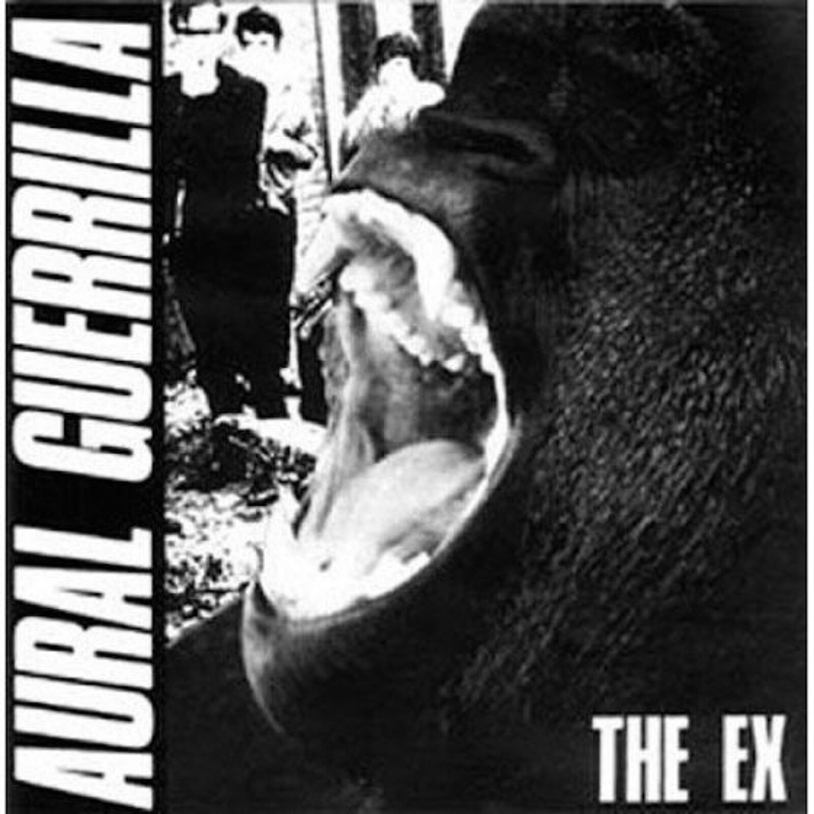 The Ex, AURAL GUERRILLA, CD