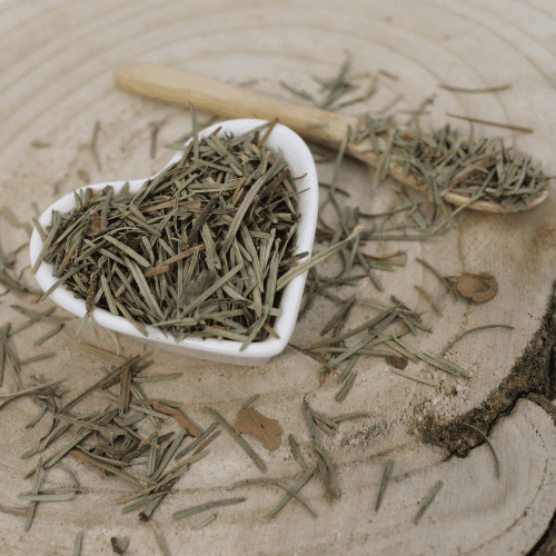 Borovica lesná - ihličie celé - Pinus sylvestris - Folium pini silvestris 50 g